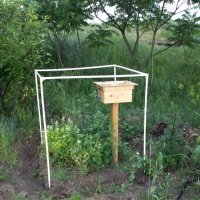 Жидек өсімдіктерінің питомнигі