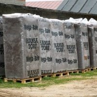 Жидек өсімдіктерінің питомнигі